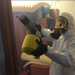 Уничтожение клопов в квартире. Балей